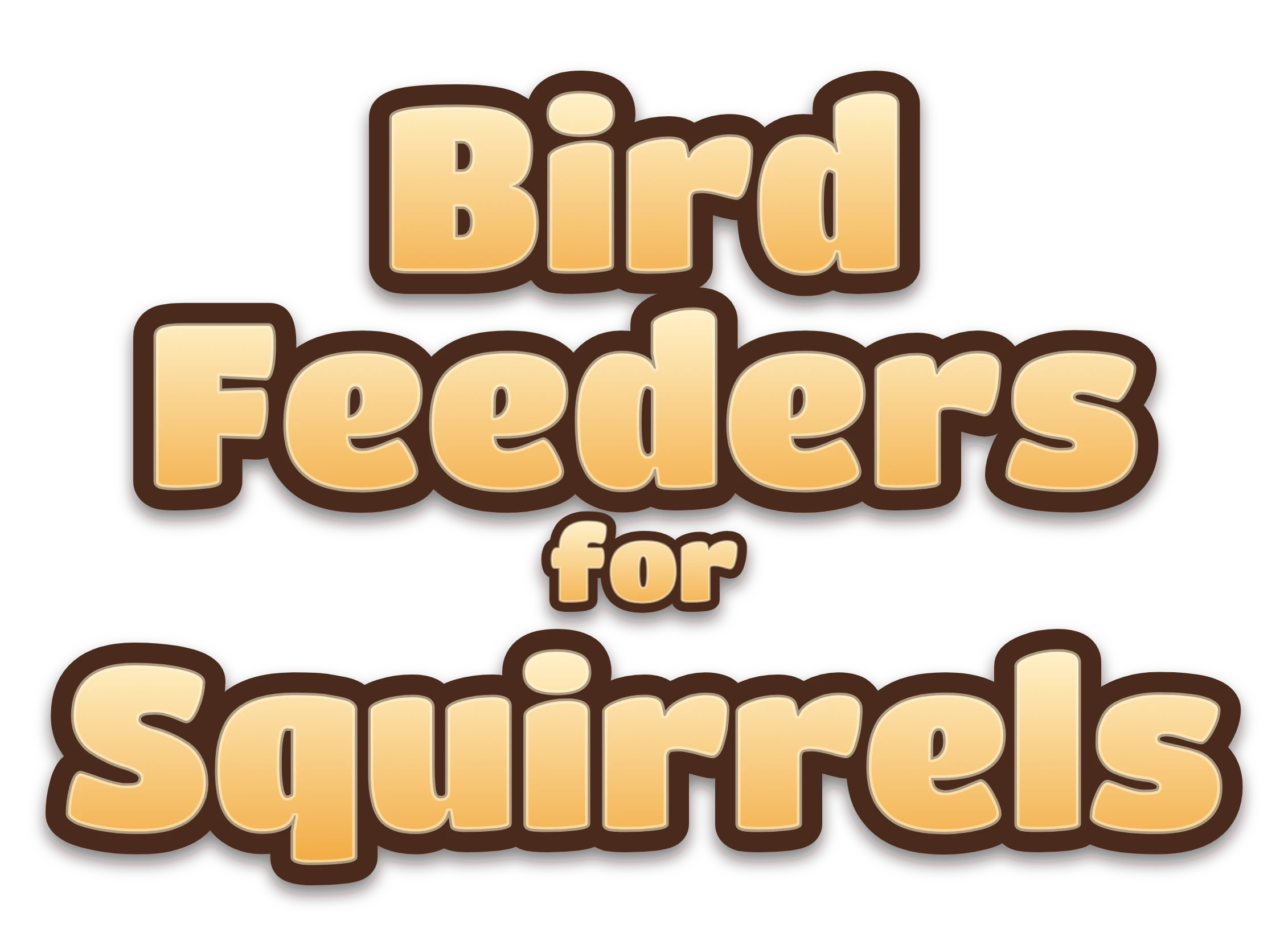 Bird Feeders for Squirrels